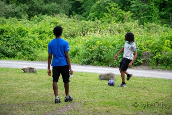 Summer Community Picnic 2026