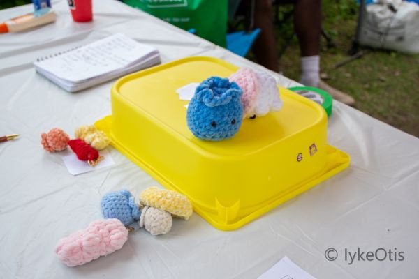 Summer Community Picnic 2026